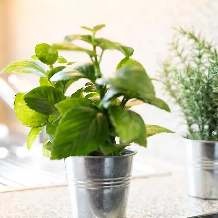 Seestrasse 17 Kuestentraum *